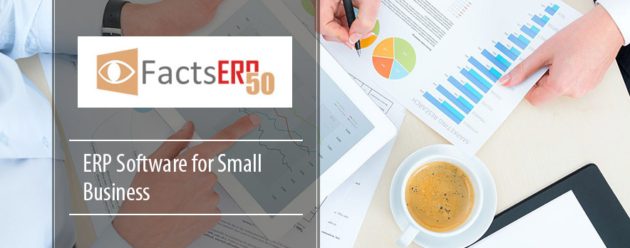 ERP Software for Small Business