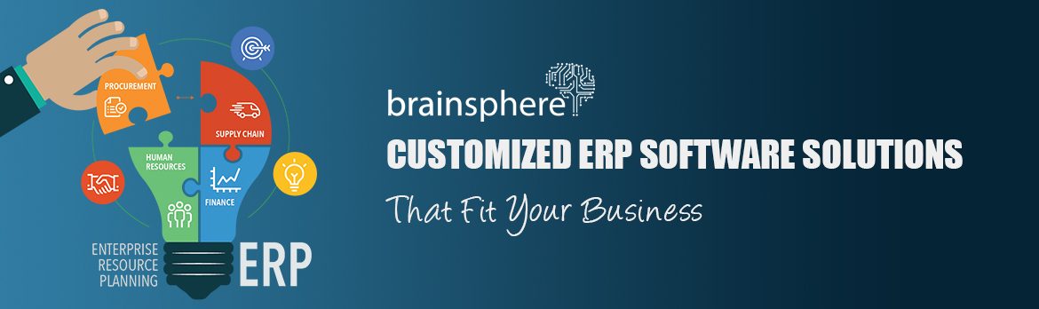 customized erp solutions dubai